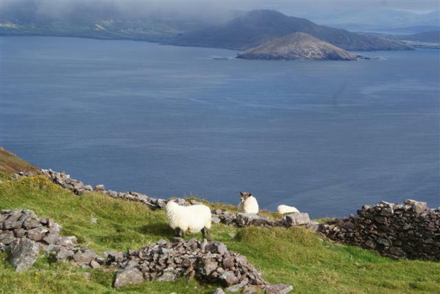 Rose Cottage Ballinskelligs Luaran gambar