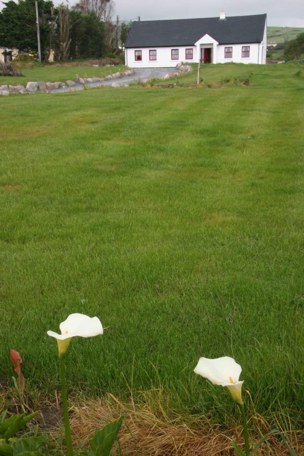 Rose Cottage Ballinskelligs Luaran gambar